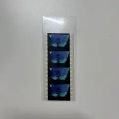 進撃の巨人劇場版 入場特典 特典 生コマフィルム 木