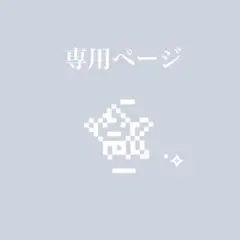 専用ページ