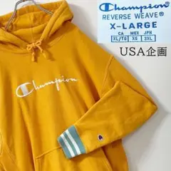 【レア】チャンピオン・USA企画・リバースウィーブ・スクリプトロゴ刺繍・パーカー