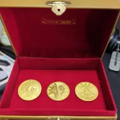 ワンピース メダルセット ルフィ