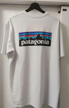 patagonia パタゴニア　Tシャツ ホワイト　M（Ｌ〜XL相当）