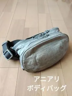✨美品✨aniary✨アニアリ✨型押し✨ボディバッグ✨グレージュ✨男女兼用✨