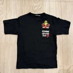 ヒスミニ　105