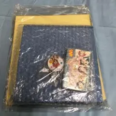 Item thumbnail for item 237a67c7-5345-4171-bd1b-093ce6443edc