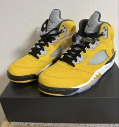 AIR JORDAN 5 RETRO "TOKYO 23" （2025）