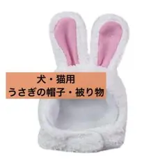 Item thumbnail for item c62548eb-dbb5-4c41-be8b-5212881a4147