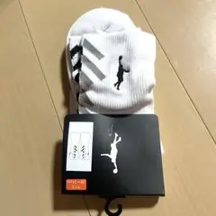c*n様 インザペイント　バスケソックス28〜31