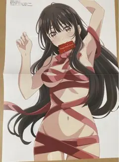メガミマガジン1月号付録ピンナップ 精霊幻想記＆結婚するって本当ですか