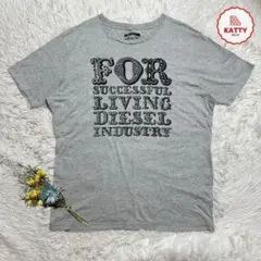 ⭐️即決価格⭐️ DIESEL プリントTシャツ ビッグロゴ　ビッグシルエット