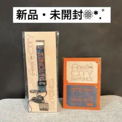【新品・未開封❁⃘*.゜】Feel da CITY ネックストラップ・ステッカー
