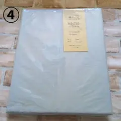 Item thumbnail for item 6d605a7d-2961-41e2-910f-c538775d5d3c