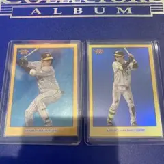 topps 206 npb 2024 50枚　シリアルカード　大山悠輔　中野拓夢
