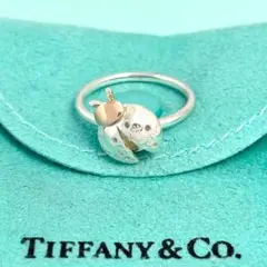 60000から29000に変更Tiffany & Co. てんとう虫チャーム Tiffany & Co. てんとう虫チャーム（TIFFANY&Co. TIFFANY ＆ Co