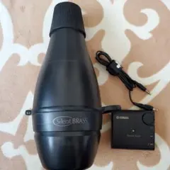 Item thumbnail for item 5f62b6fe-30f2-424a-819d-4f2051d29045