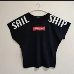 SUREVE+ ロゴTシャツ 大きいサイズ3L 黒