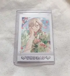 【23枚/内3枚箔押し】あんスタ　ぱしゃこれ　羽風薫　ブライダル あんスタ 羽風薫 逆先夏目 ぱしゃっつ 2枚セット √AtoZ AtoZ