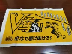 選手名記載の手ぬぐいです