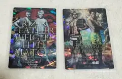 【匿名配送】RIZIN ポテトスティック ポスターカードコレクション 鈴木千裕