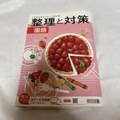即購入OK送料込み！【未使用】 整理と対策 国語 明治図書 2022年