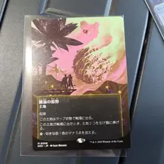 睡蓮の原野　星景