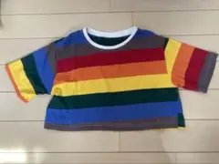 カラフルストライプTシャツ 150サイズ