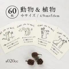 s020cc 動物&植物 ボタニカル サンキューカード（中）60枚