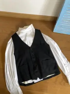ネストローブベスト