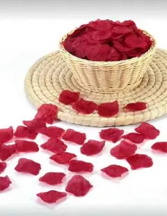 Item thumbnail for item b01068b7-094f-4733-bc1f-4671a60bb188