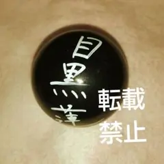 目黒蓮 サイン色紙