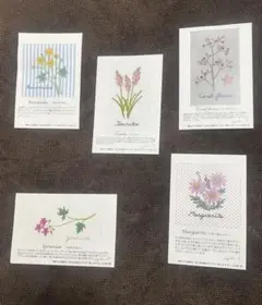 花と木の実のサンプラー　図案ありの説明書と未使用針（ビーズ針・リボン針含）