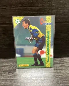 トレーディングカード　パニーニ　マルケジャーニ　ラツィオ　サッカーカード