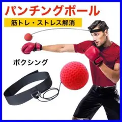 パンチングボール ボクシング タップボール 筋トレ ダイエット ストレス解消