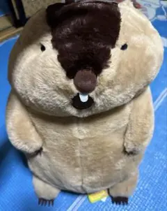 アー！マーモットのもっとっと プライズ　Marmot　第二弾！
