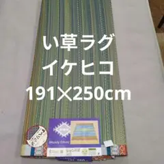 い草ラグ長方形イケヒコ191✕250cmネイチャー
