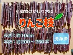 Item thumbnail for item 2c70759c-7fa0-4367-88b0-a8d78f5a89e6