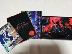 欅坂46 東京ドーム　DVD 初回生産限定盤