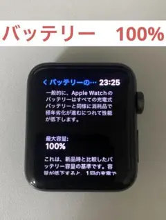 Apple Watch Series 3 GPSモデル 42mm