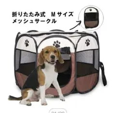 Item thumbnail for item 6c15a5b0-a862-4789-8c38-763b092ccb80