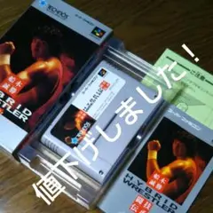 船木誠勝 ハイブリッドレスラー SFC スーパーファミコン ソフト