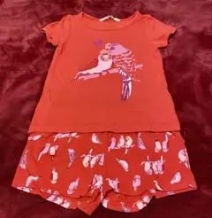 H＆M 小鳥 インコ Tシャツ パンツ セット110cm