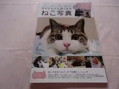 目がどんどん良くなるねこ写真