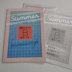 中1数学 夏期テキストB(標準編)＋テスト集 教育開発出版 未使用品 送料無料！