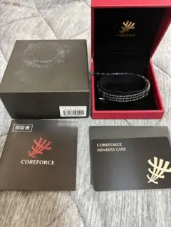 Item thumbnail for item 8f582926-4b21-452e-a5b8-867383953489