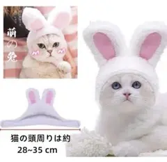 Item thumbnail for item d64d7141-dc20-4327-8b5b-b8c8ea333d66