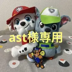 マーシャル,ロッキーぬいぐるみセット (おまけ,チェイスラバーキーホルダー付き)