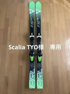 スキー FISCHER PROGRESSOR F19 TI 163cm Fischer Progressor F19 Ti 2016 review - Snow Magazine
