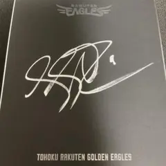 楽天イーグルス　ルーク・ボイト　直筆サイン色紙