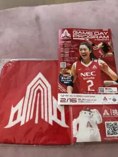 NECレッドロケッツミニタオル、プログラム、ティッシュ