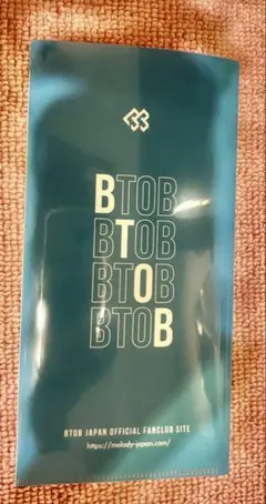 BTOB MELODY JAPAN クリアファイル