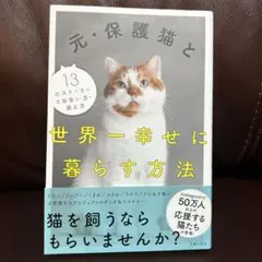 元・保護猫と世界一幸せに暮らす方法
